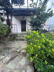 a front entrance to a house with plants and a door at Pelion Experience in Zagora