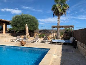 a pool with chairs and a bed next to a palm tree at Ca Na Marina in Cala Llombards