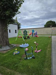 ŻurominoにあるAgroturystyka Relax na Kaszubachの庭の遊具付き遊び場