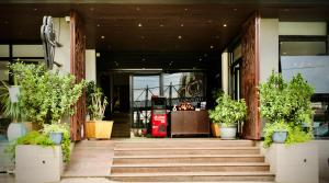 a entrance to a building with potted plants on the steps at Le Basilic Hotel Apartment & Spa in Addis Ababa