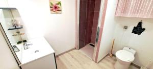 Un pequeño baño con ducha y WC. en LA Grâce d'Amboise, en Amboise
