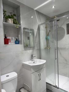 a bathroom with a toilet and a sink and a shower at Stylish Self Contained Unit - High Wycombe in High Wycombe +3 photos