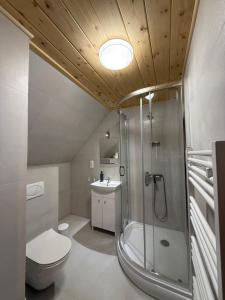 a bathroom with a shower and a toilet and a sink at Beskidzkie Wyspy in Tenczyn +74 photos
