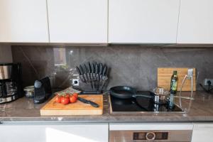 Kuchyň nebo kuchyňský kout v ubytování Luxury Penthouse, Sauna, Balcony, AirCon + 11 fotografií