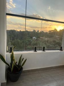 Фотография из галереи Kitisuru Zen Stay в городе Gatunga