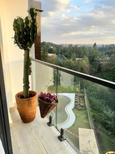ein Balkon mit einer Topfpflanze und Aussicht in der Unterkunft Kitisuru Zen Stay in Gatunga
