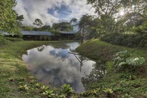 een weerspiegeling van de lucht in een vijver bij Casa Alma, Nature Escape with River, Trails and Views in San Rafael
