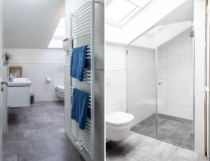 a bathroom with a toilet and a shower at Neue Liebe Haffkrug 5 - Meeresstern in Haffkrug +17 photos