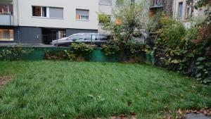 バーゼルにあるStudiowohnung und Zimmer, Basel-Stadtの建物前の緑草の庭