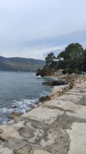 a rocky shoreline with a body of water at Woodpecker Hostel Montenegro in Zelenika