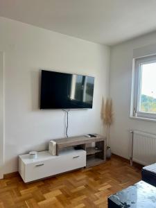 Una sala de estar con un televisor de pantalla plana en una pared. en Apartman Kalina, en Belgrado 1 foto más