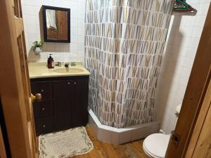 um banheiro com chuveiro, pia e vaso sanitário em El Refugio del Pino Cabaña en Subachoque em Subachoque mais 69 fotografias