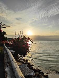 a sunset over a body of water with a bush at Malcom Ocean View Retreat in Pongwe