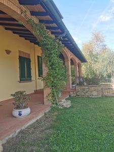 a house with a plant growing on the side of it at La Terrazza di Maria in Pienza