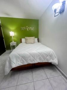 a bedroom with a large bed with a green wall at Daisy'Hause 2 to 6 people, ideal for your family in Carolina