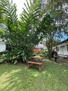 トゥリアルバにあるHotel Geliwaの木の横の芝生の木のピクニックテーブル