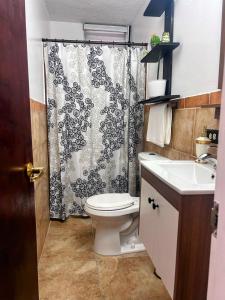 a bathroom with a toilet and a shower curtain at Daisy'Hause 2 to 6 people, ideal for your family in Carolina