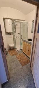 un baño con ducha y WC en ALTSTADT-Apartmenthaus BOGENSPERGER, en Braunau am Inn