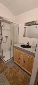 Un baño con lavabo y ducha con espejo. en ALTSTADT-Apartmenthaus BOGENSPERGER, en Braunau am Inn