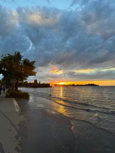 a beach with a tree and the ocean at sunset at Tolle Wohnung mit Seeblick! in Rorschach