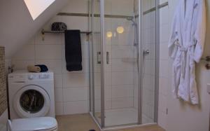 a bathroom with a shower and a washing machine at Inselblume 09 - Ferienwohnung an der Reiterkoppel auf Fehmarn in Neue Tiefe Fehmarn +20 photos