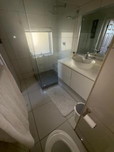 a bathroom with a shower and a sink and a toilet at Secure Estate Home with 24 Hour Surveillance in Cape Town +9 photos