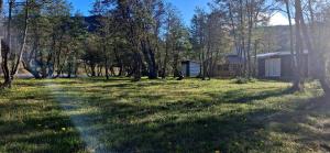 コクランにあるCabaña Los Carpinterosの草の庭 +6枚の写真