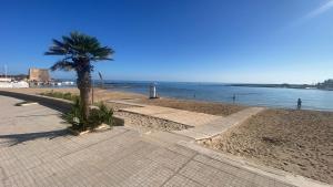 a palm tree on a beach next to the water at Sunflower Holiday Home in Brindisi