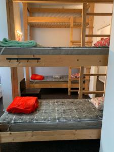 a group of bunk beds in a room at Artishalico tallinn in Tallinn