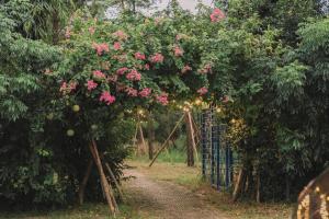 a garden with pink flowers on a fence at V-Eco Nest in Thạch Cầu