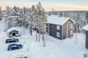 FREE downhill skiing ticket 1pcs Cozy and very peaceful place in Levi v zimě