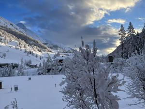 un arbre couvert de neige à côté d'une montagne dans l'établissement Heimat - Das Natur Resort, à Prägraten am Großvenediger