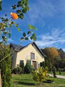 a house with an orange rose in the yard at Casa ANDRADA in Horezu
