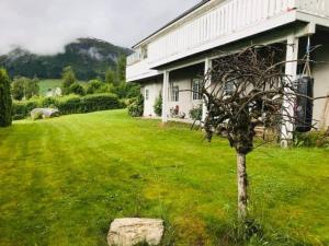 een boom in het gras naast een huis bij JOlster apartaments in Årdal +9 foto's