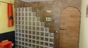 パトリモニオにあるLes Oliviersのバスルーム(ガラス張りの壁のシャワー付)