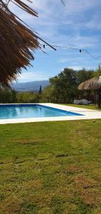 a large swimming pool with a grass roof at Refugio de las nubes in Las Rabonas