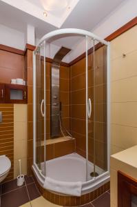 a shower with a glass door in a bathroom at Apartament Stare Miasto 1 in Elblag