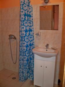 a bathroom with a sink and a shower at Apartamentai Vanagupės rajone in Palanga +68 photos