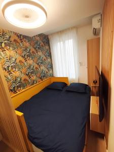 a bedroom with a blue bed in a room at Joli studio à Aix-en-Provence in Aix-en-Provence
