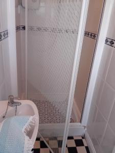 a bathroom with a shower and a sink at Annaswood Self Catering in Ballylooby