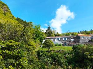 a house in the middle of a field with trees at Casa das Duas Ribeiras in Lajes do Pico