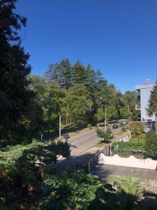 a view of a street with trees and a road at Three Pines in Kobuleti