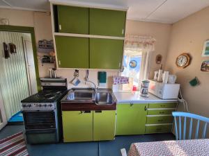 a small kitchen with green cabinets and a sink at Sjarmerende 50-tallshus med utsikt og ro in Olderdalen