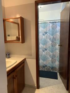 ein Badezimmer mit Dusche und Waschbecken in der Unterkunft Apartamento con vista al mar Tucacas in Tucacas