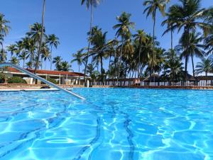 ein Swimmingpool mit Palmen im Hintergrund in der Unterkunft Apartamento con vista al mar Tucacas in Tucacas + 13 Fotos