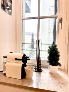 una maceta sentada junto a una ventana en Wohlfühlen in perfekter Lage, en Dresden