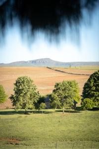 Φωτογραφία από το άλμπουμ του Blackbrook Farm Underberg σε Underberg
