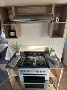 a kitchen with a stove and some potted plants at Olivia Caravan Sleeps 6 with Wi-Fi in Rhyl