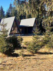 a log cabin with trees in front of it at CabanA Comandău in Comandău