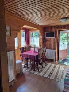 une salle à manger avec une table et des chaises et une télévision dans l'établissement Pryvitannya Sontsyu, à Skhidnitsa
